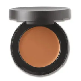 Bare Minerals 2 Dark SPF20 Correcting Concealer 2g