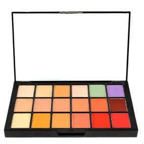 Ben Nye MediaPRO HD Concealer & Adjuster Palette (HDAP-1)