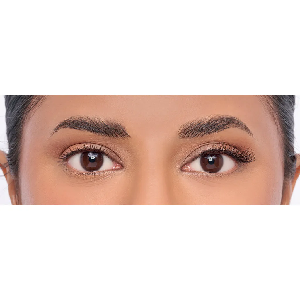 Eylure Lash Case No. 501