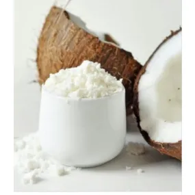 Powder Coconut Milk /Coconut Cream Spray Dried Edible