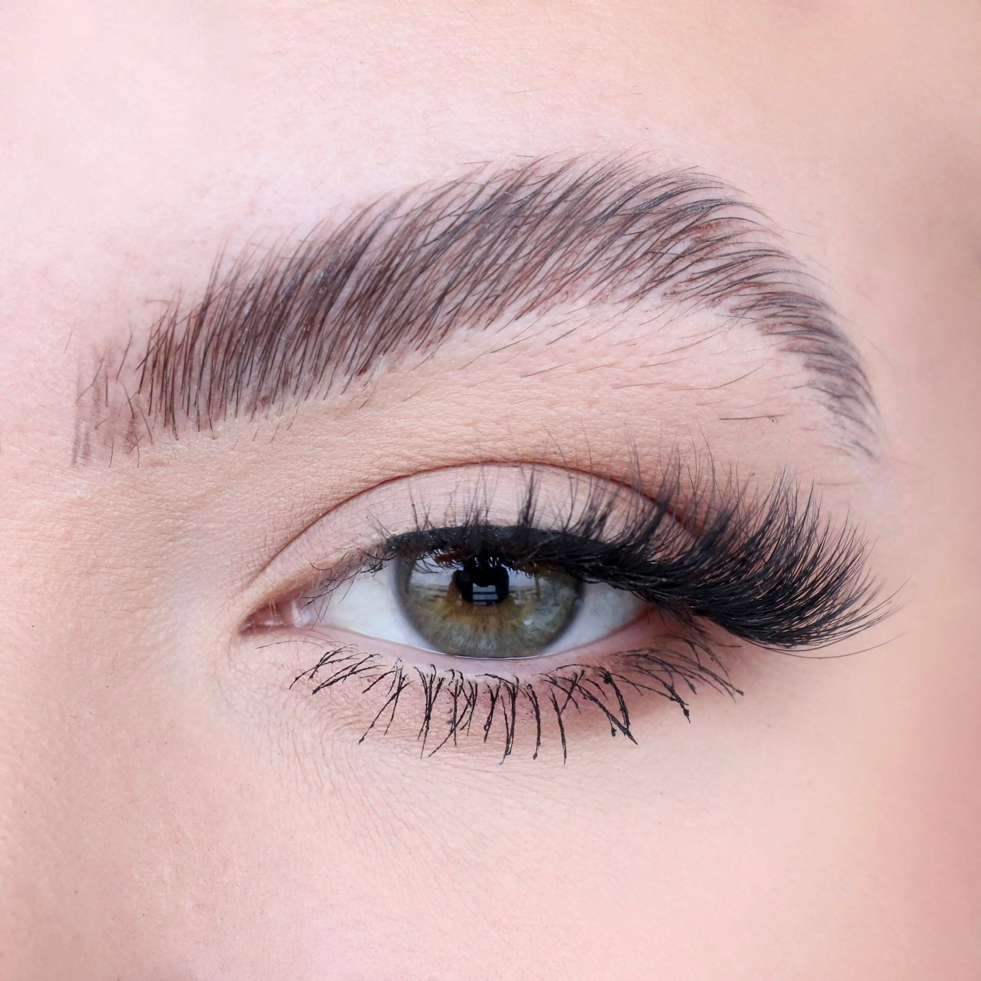 Toxiic Brat Allsorts Half Lash